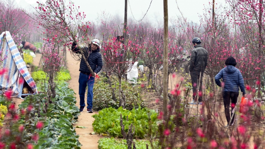 Tết Nguyên đán 2023 trời có thể rét